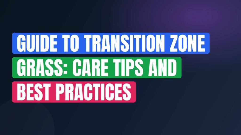 Guide To Transition Zone Grass: Care Tips And Best Practices