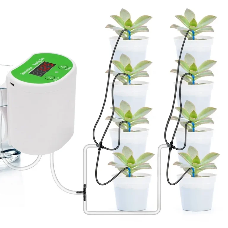 How can I water my plants while away for 2 months?
