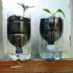 How to make a self waterer for plants?