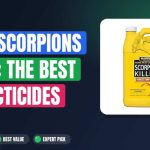 Kill Scorpions Fast: The Best Insecticides