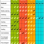 Lawn maintenance schedule template