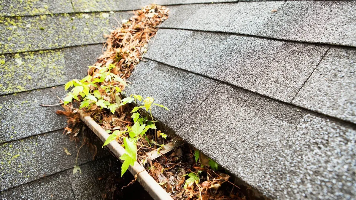 roof runoff contaminants gutter debris