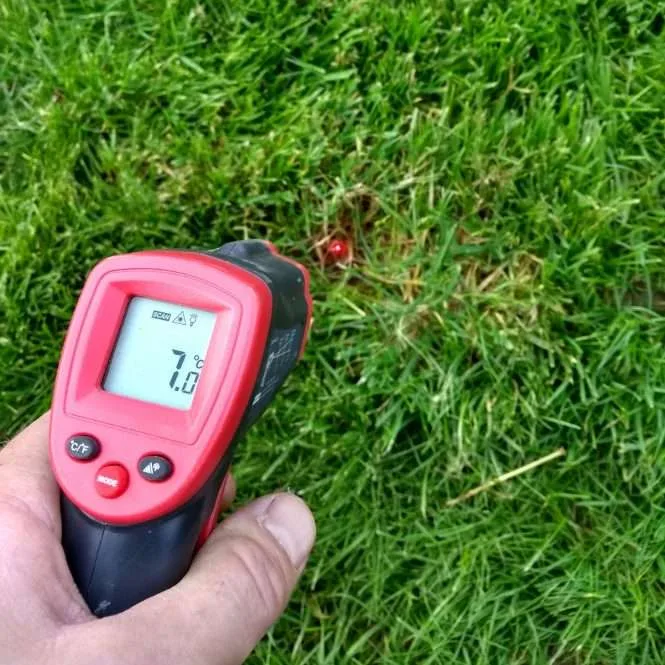 soil temperature for pre-emergent
