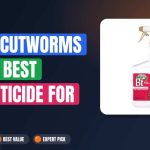 Stop Cutworms Fast: Best Insecticide for Your Garden