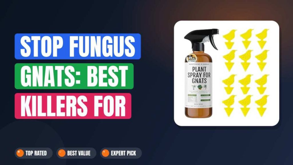 Stop Fungus Gnats: Best Killers for Indoor Plants