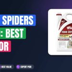 Stop Spiders Dead: Best Indoor Insecticides