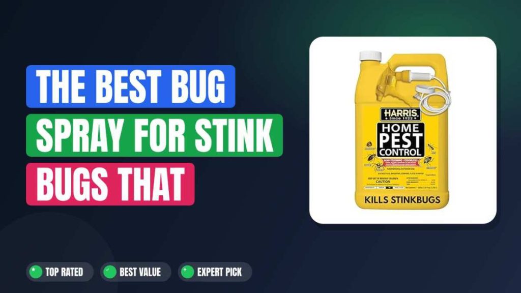 The Best Bug Spray for Stink Bugs That Actually Works