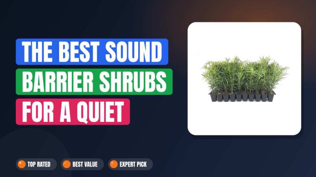 The Best Sound Barrier Shrubs for a Quiet Yard