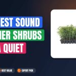 The Best Sound Barrier Shrubs for a Quiet Yard
