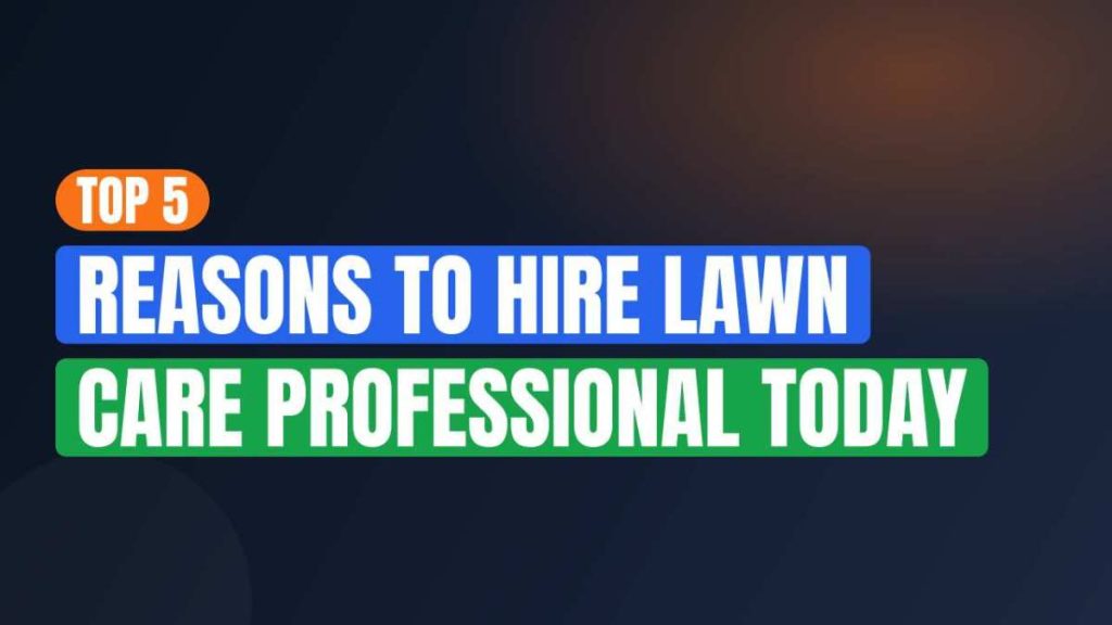 Top 5 Reasons To Hire Lawn Care Professional Today