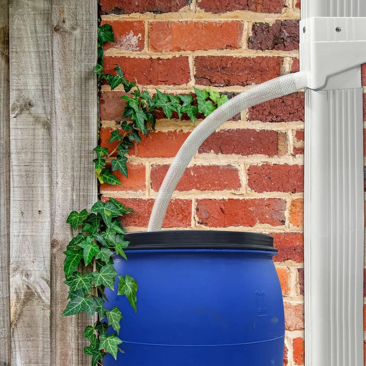 What are the 10 disadvantages of rainwater harvesting?