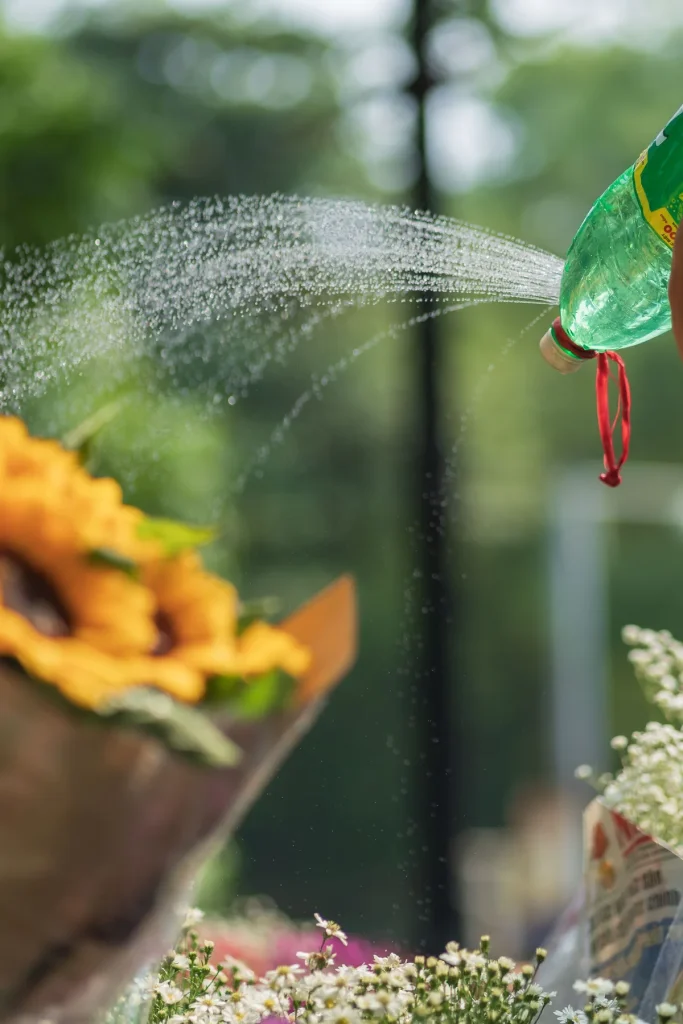 What is the best way to water indoor plants?