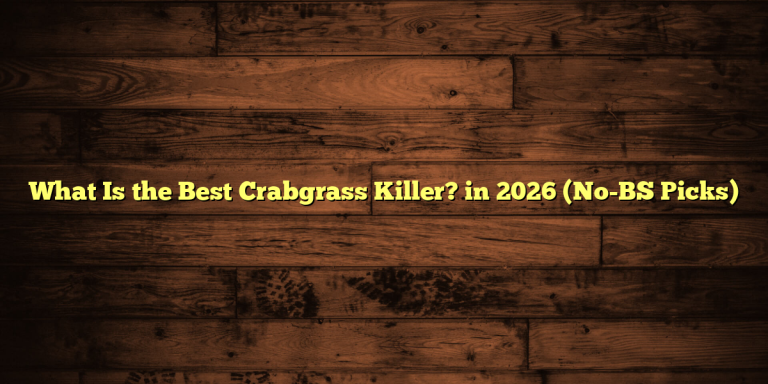 What Is the Best Crabgrass Killer? in 2026 (No-BS Picks)